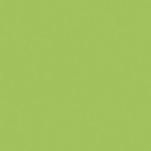 PRAXITELIS HIGH-GLOSS 764